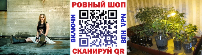 Хочу наркоту Крым Амфетамин  Мефедрон  ГАШИШ  blacksprut сайт  Кокаин 