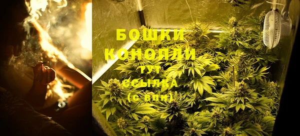 дурь Лагань