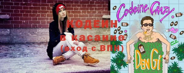 амф Ладушкин