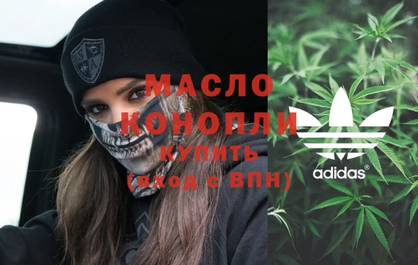 амф Ладушкин