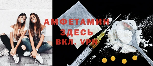 амф Ладушкин