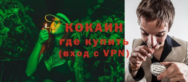 амф Ладушкин